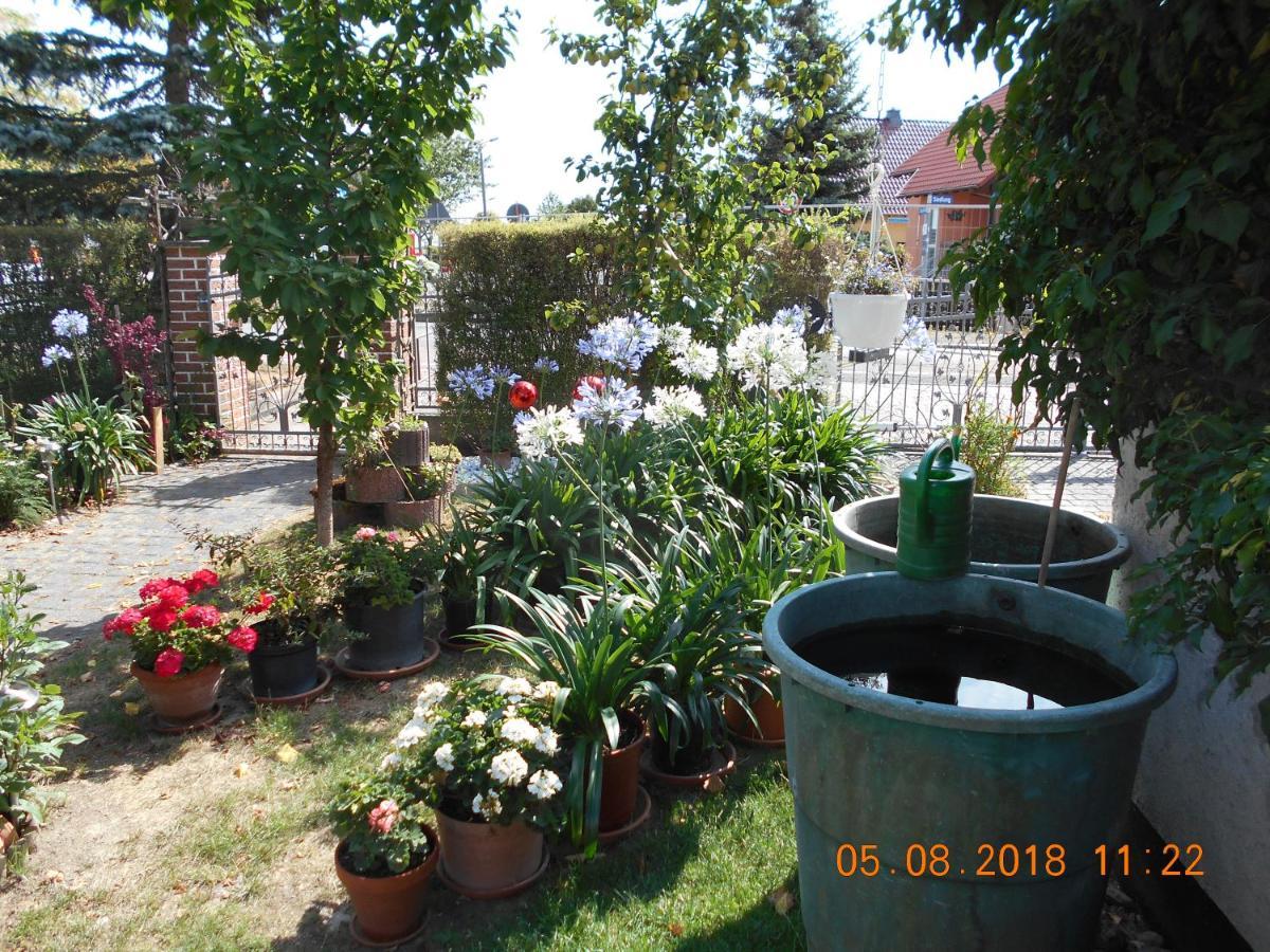 Vermiete schöne Ferienwohnung/Apartment in Dankerode im Harz. Exterior foto